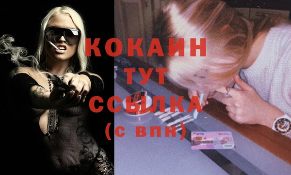прущие грибы Абаза