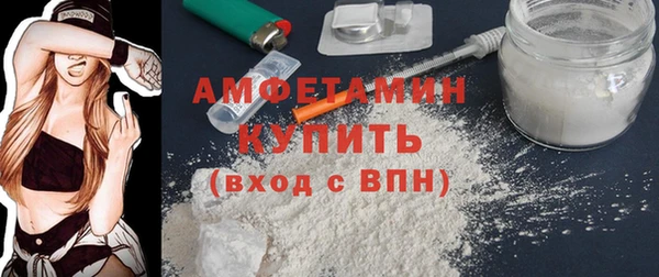 прущие грибы Абаза