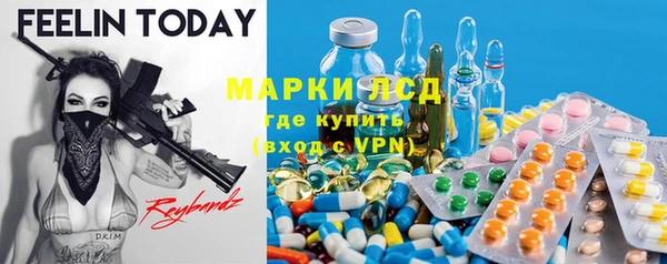прущие грибы Абаза