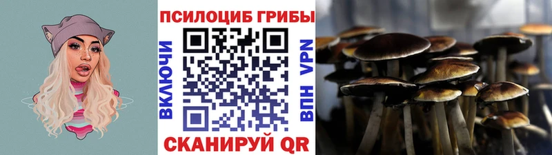 Псилоцибиновые грибы Psilocybine cubensis  blacksprut рабочий сайт  Беломорск 